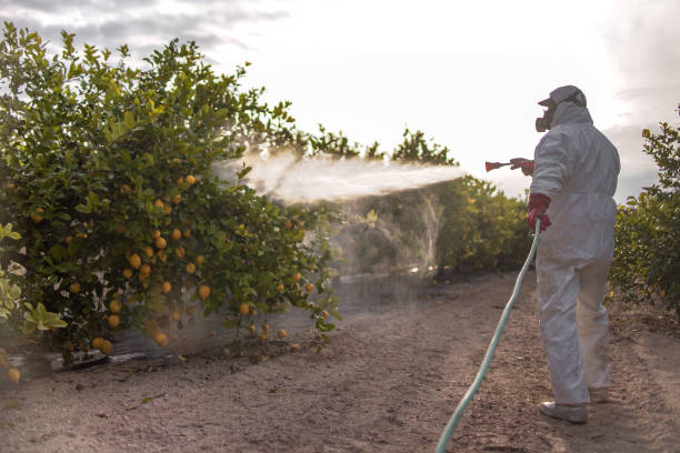 Best Pest Control for Homes  in Laurel Lake, NJ