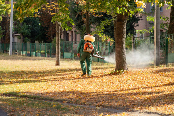 Best Best Pest Control Companies  in Laurel Lake, NJ