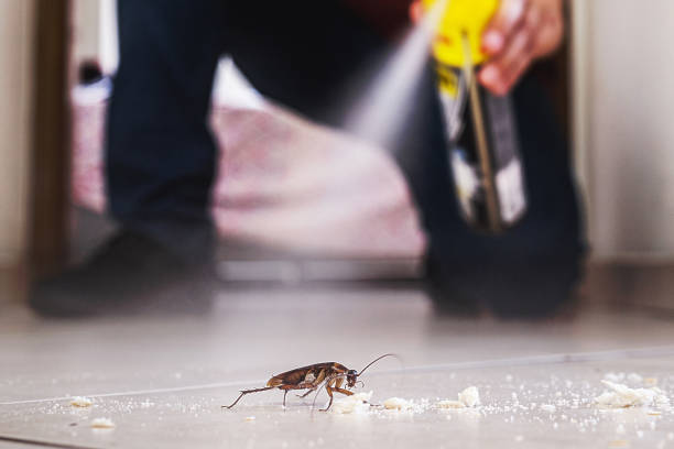 Best Wasp Removal Services  in Laurel Lake, NJ